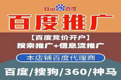 搜索引擎营销（SEM）的创意与执行——以多个行业成功案例为教学
